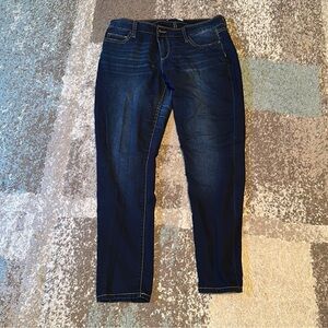 Buckle Daytrip Skinny Jeans